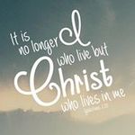 Tammy R. Strunk - @tammy.rstrunk0867 - Instagram