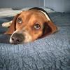 Tammy Strunk-Ramsey - @tammy.strunkramse - TikTok