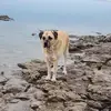 tammystump - @tammystump - TikTok