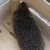 tammy.styles - @tammy.styles - TikTok