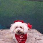tammy Suárez - @tammy100619 - Instagram