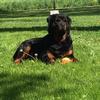 tammysurber363 - @tammysurber363 - TikTok