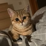 Tammy Sue - @tammysuetheterror - Instagram