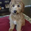 tammy_sue - @tammy_sue - TikTok