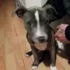 Tammy XOXO - @tammy.stutter123 - TikTok