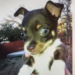 Tammy Sweeney - @tammy.sweeney.3 - Instagram