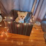 Tammy Sweet - Facebook
