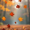 Tammysweetestpersonyoullmeet - @tammysweetestpers - TikTok