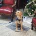 Tammy Sweezy - Facebook