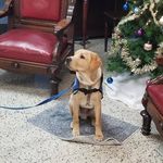 Tammy Sweezy - @bearlady06 - Instagram