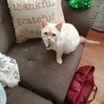 Tammy Swick - Facebook