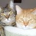 Tammy Reardon Taft - Facebook