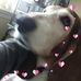 Tammy Talbott - Facebook