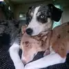 Tammy  lou Tasker - @tammy.tasker1 - TikTok