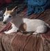 Tammy Cole Tasker - Facebook