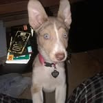 Tammy Cole Tasker - @tammy.dixon.3975 - Instagram
