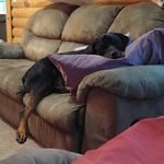 Tammy Tasker - @tammy.tasker.90 - Instagram