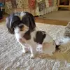 tammytatum775 - @tammytatum775 - TikTok