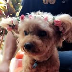 Bear_Teddy_Tammy - @bear_teddy_tammy - Instagram