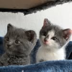 Tammy & Teddy - @tammyandteddy - Instagram