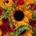 Tammy Henderson - Facebook