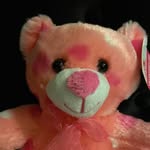 Tammy🤪🎸🐻 - @tammy._.the.teddy - Instagram