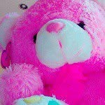 tammy - @tammy_the_teddy - Instagram