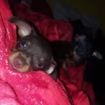 TEDDY & TAMMY - @tammy_e_teddy - Instagram