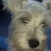 tammyteeter352 - @tammyteeter352 - TikTok