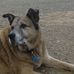 Tammy Thayer - Facebook