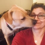 Tammy Thibault - @batterupbaby_tam - Instagram