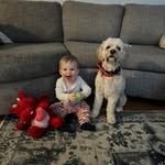Tammy Thompson - @tammyirenethompson - Instagram