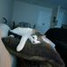 Tammy Thrasher - Facebook