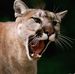 Tammy Tims - Facebook