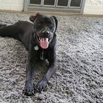 Tammy Titus - @tammy.titus.7 - Instagram