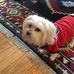Tammy Tolbert - Facebook