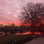 Tammy Stowers-Tonn - @tonnster - Instagram