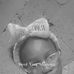 Temmy Toppe - Facebook