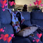 Tammy Torok - @toroktammy - Instagram