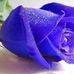 Tammy Traub - Facebook