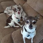 Tammy Travis - @tammytravis67 - Instagram