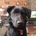 Tammy Travis - Facebook
