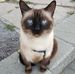 Tamara Tremblay - Facebook