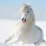 Tammy Tremblay - @tremblay_tammy - Instagram
