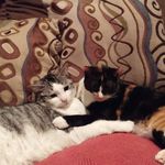 Tammy Tremblay - @tremblay.tammy - Instagram