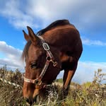 Tammy Tremblay - @mi.chan309 - Instagram