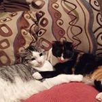 Tammy Tremblay - @hotnurse28 - Instagram