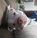 Tammy Tremblay - Facebook