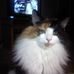 Tammy Tremblay - Facebook