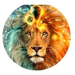 Tammy Trimm - Facebook